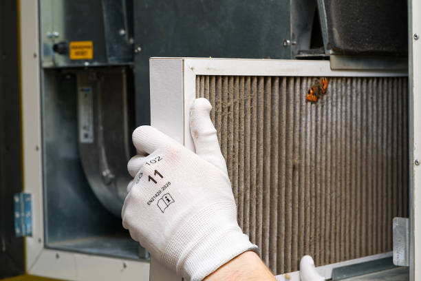 Best Affordable HVAC Duct Cleaning  in Ladera Heights, CA